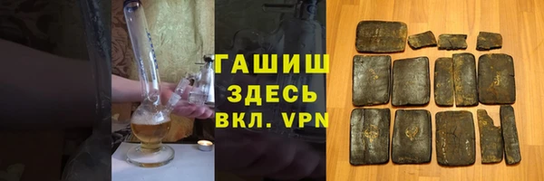 индика Алзамай