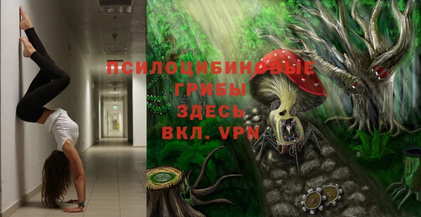 индика Алексеевка
