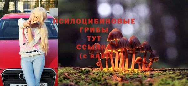 индика Алзамай