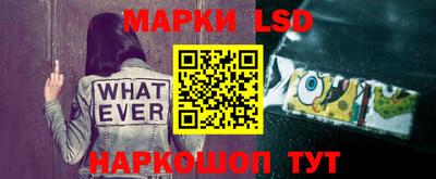 стаф Брянск