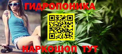 spice Боровичи