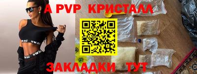 стаф Брянск