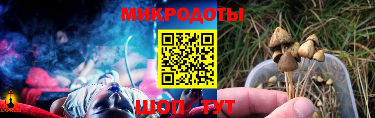 Галлюциногенные грибы ЛСД Белгород