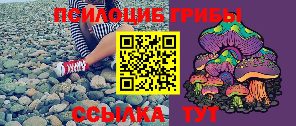 Псилоцибиновые грибы прущие грибы  Вход с VPN  Белгород  Галлюциногенные грибы мицелий 